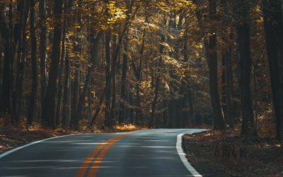 Un courtier, ses actions,son rôle et son indépendance